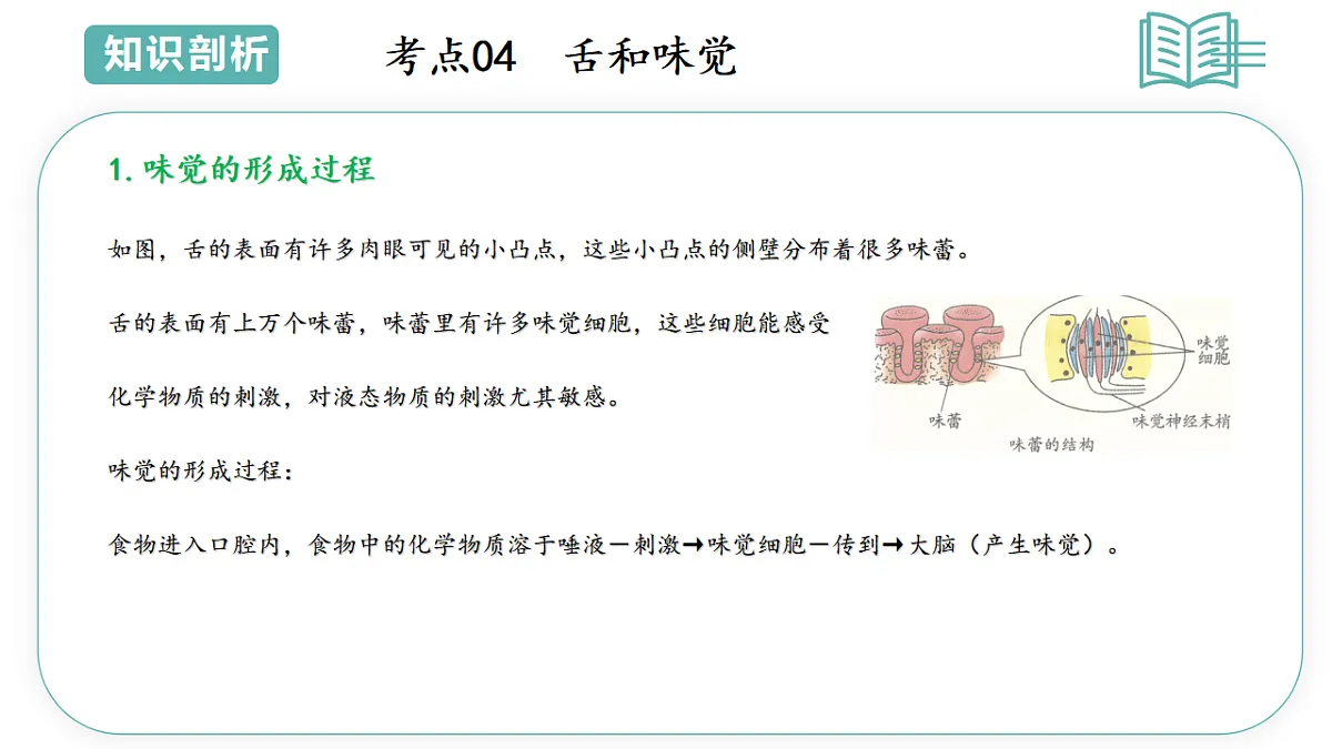 17566699第8页