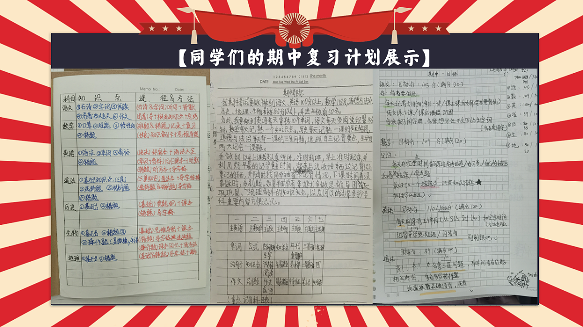 17566895第3页