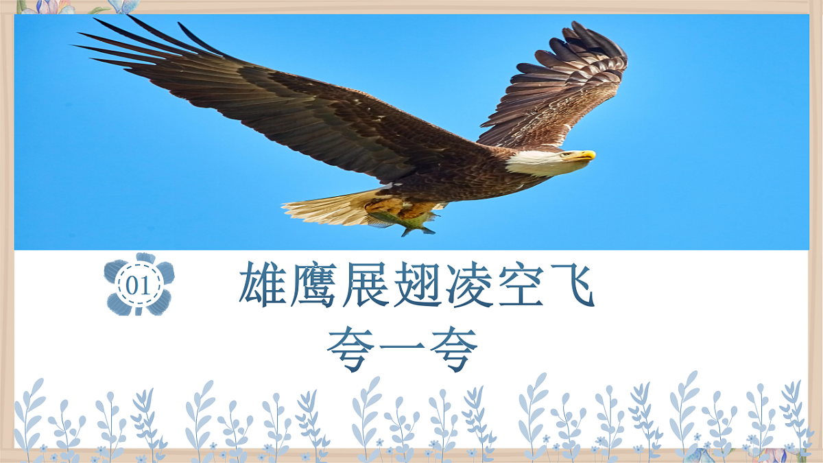 17566896第2页