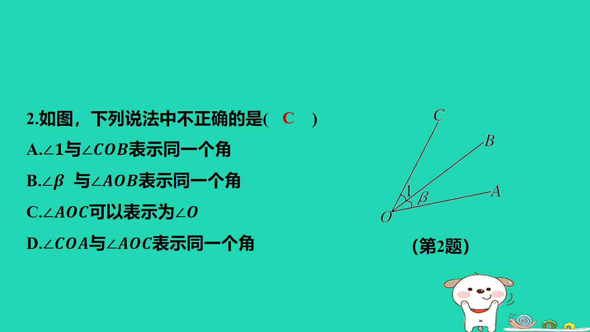 17566949第3页