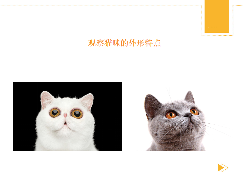 17567158第5页