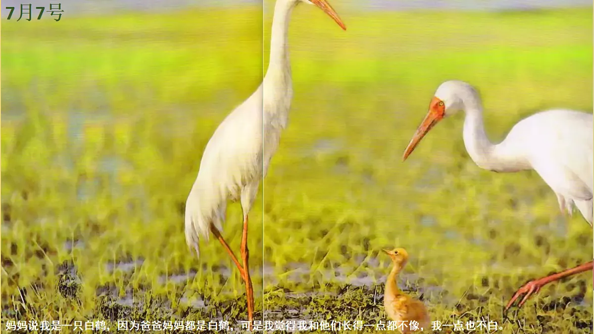 17567159第5页