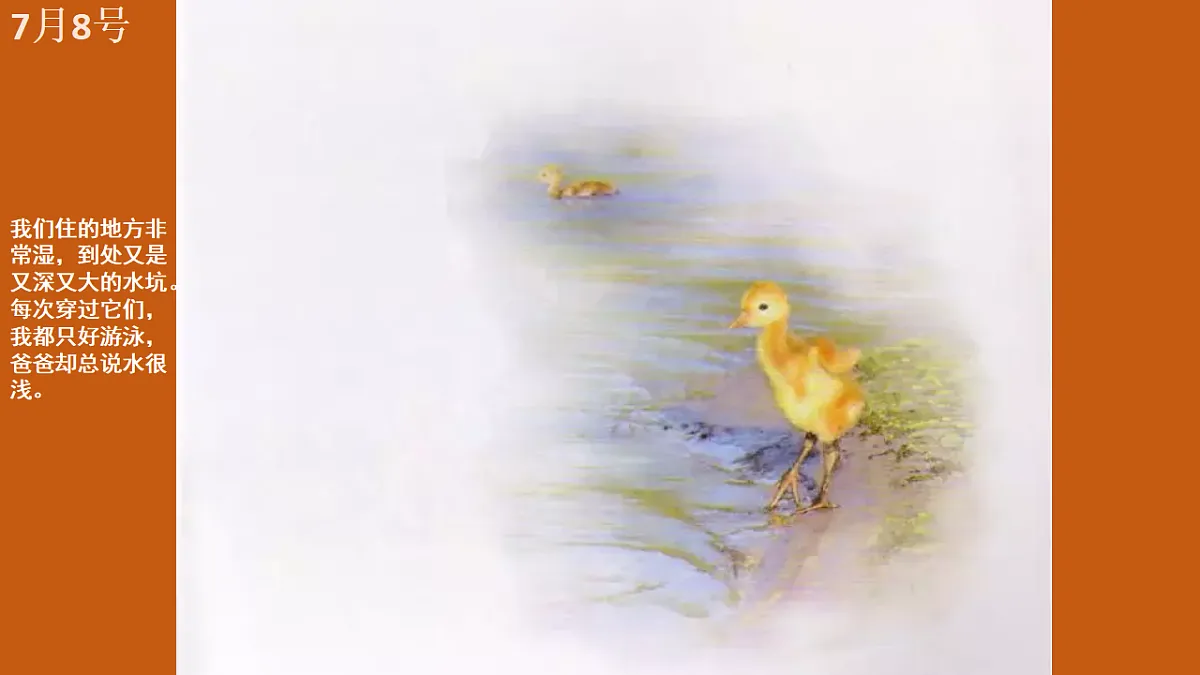 17567159第6页