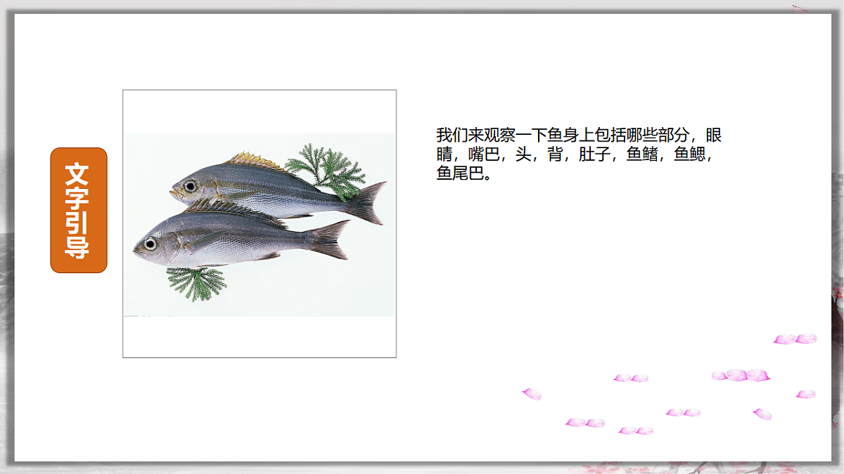 17567160第4页