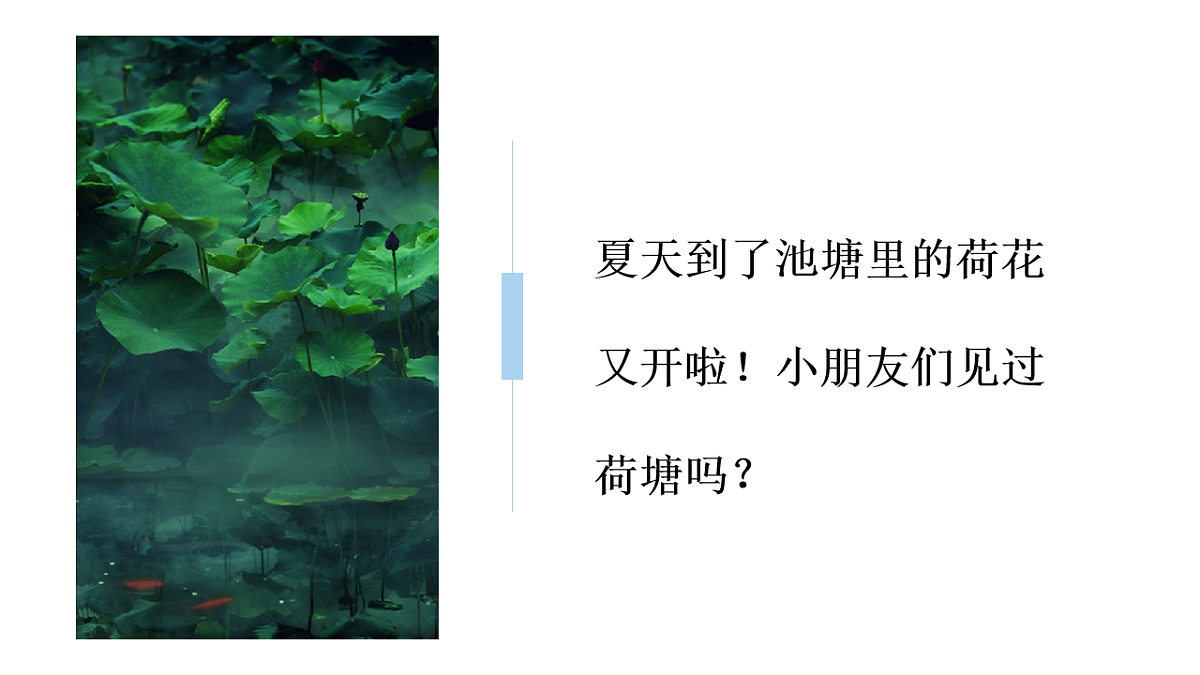 17567162第4页