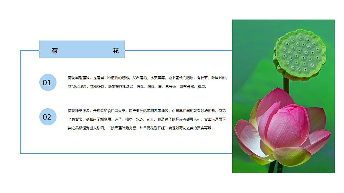 17567162第5页