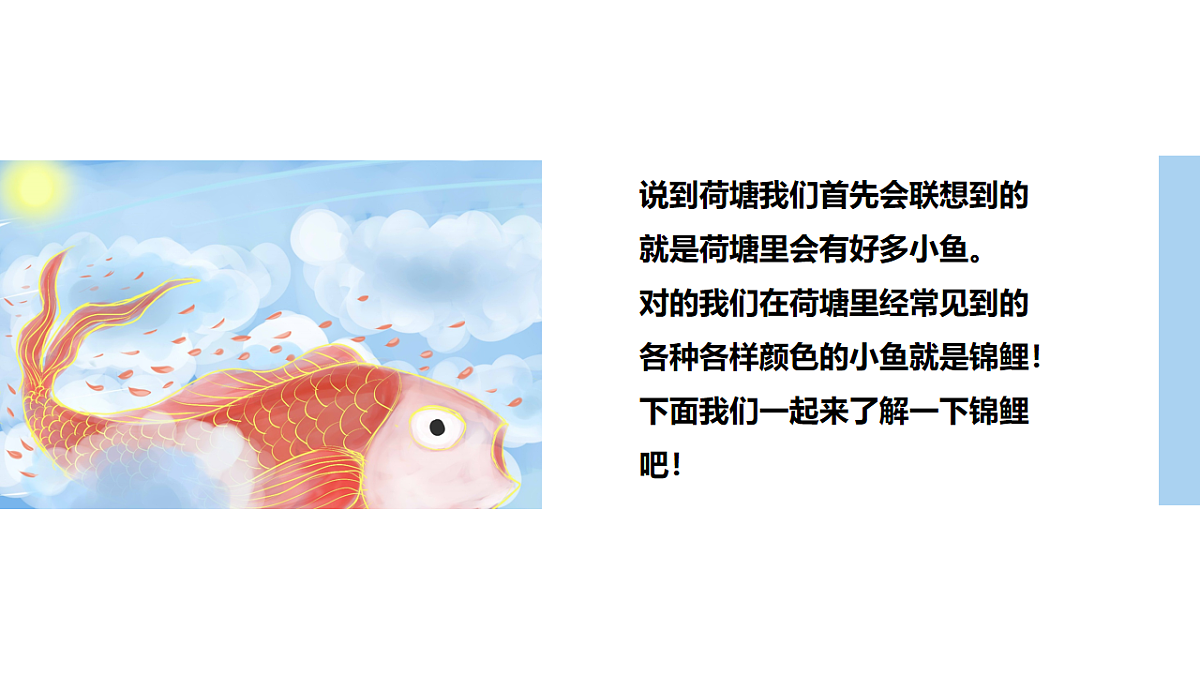 17567162第7页