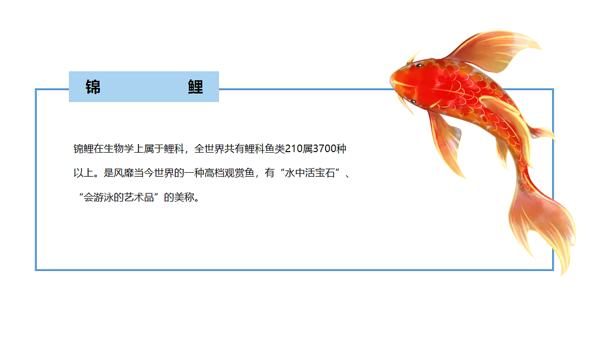17567162第8页