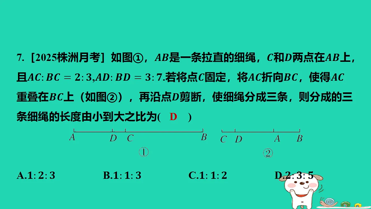 17567164第8页