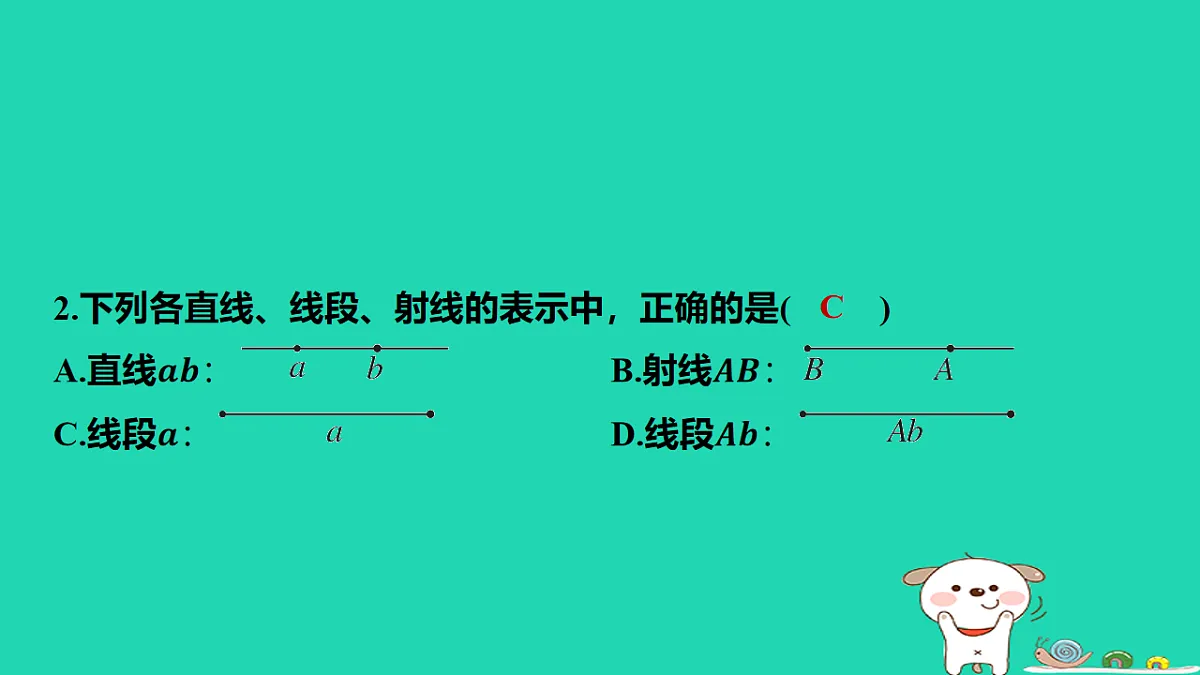 17567166第3页