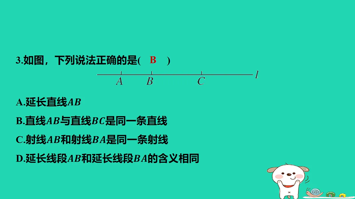 17567166第4页