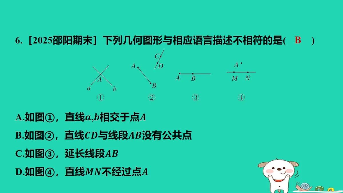 17567166第7页