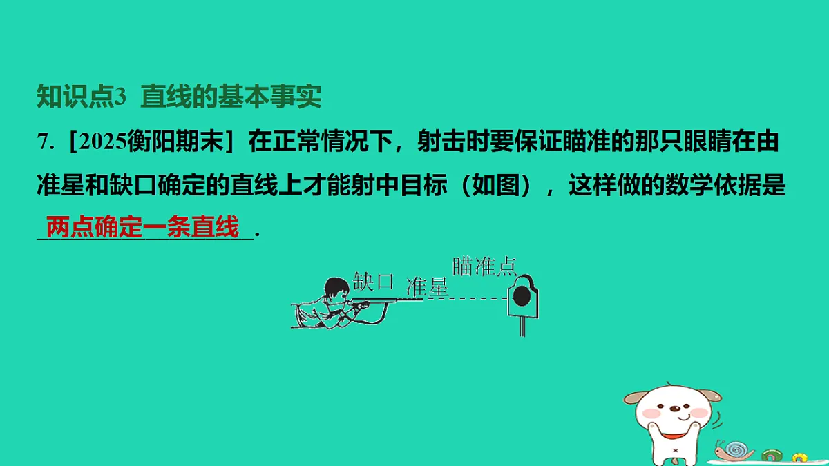 17567166第8页