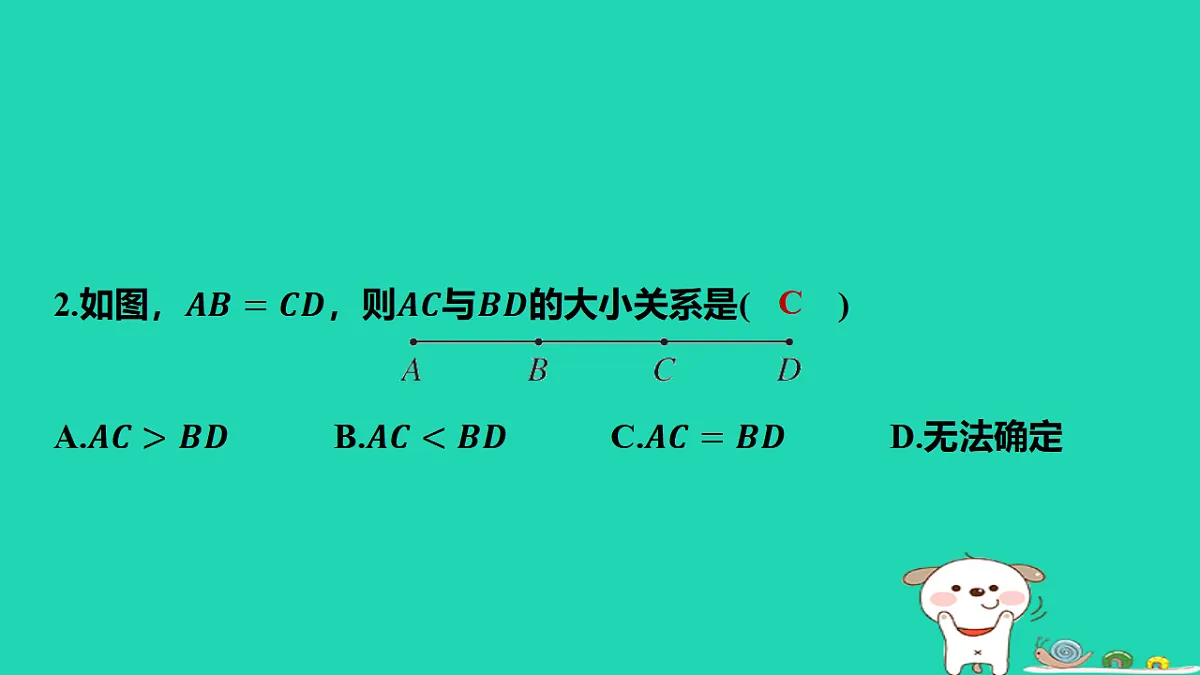 17567167第3页
