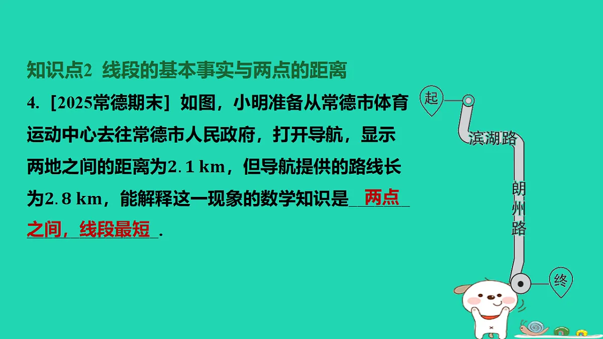 17567167第5页