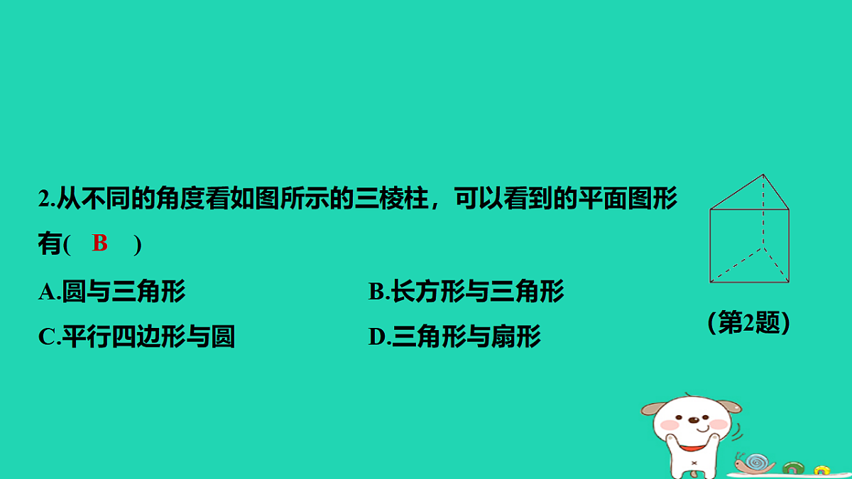 17567359第3页