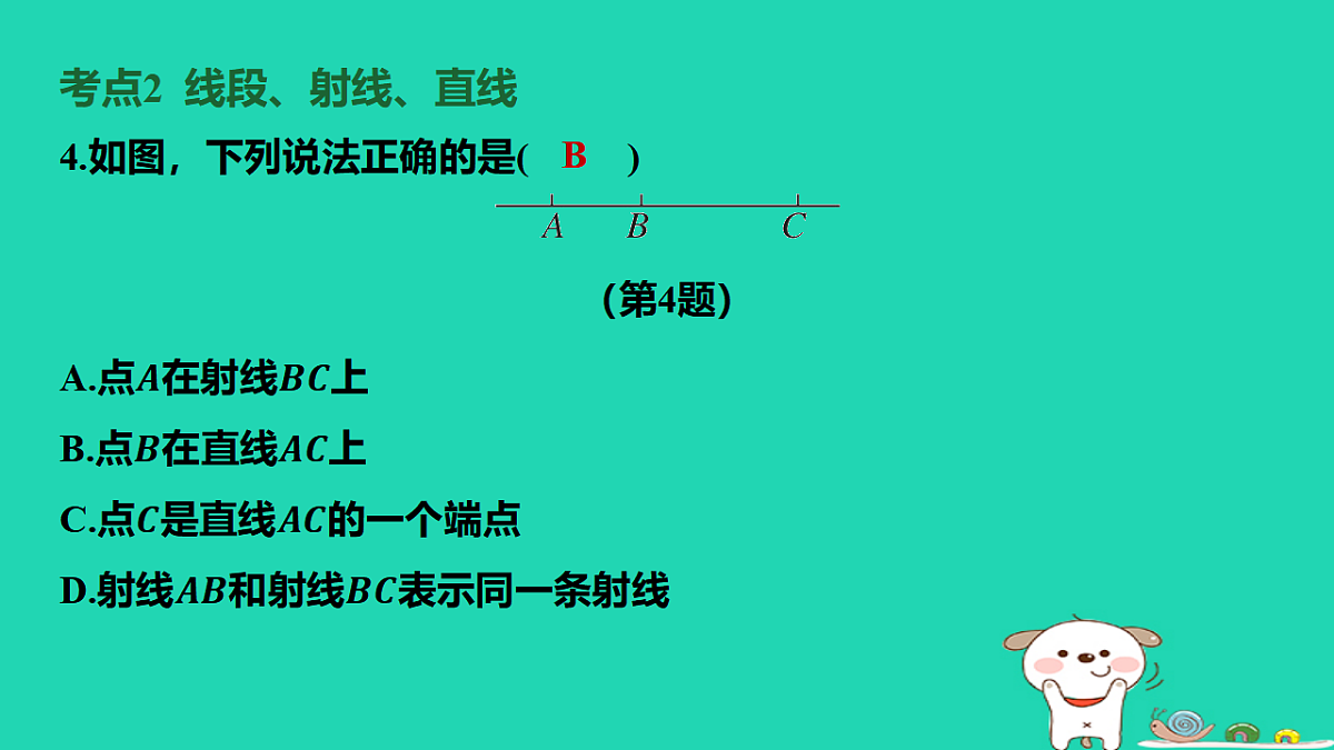 17567359第5页