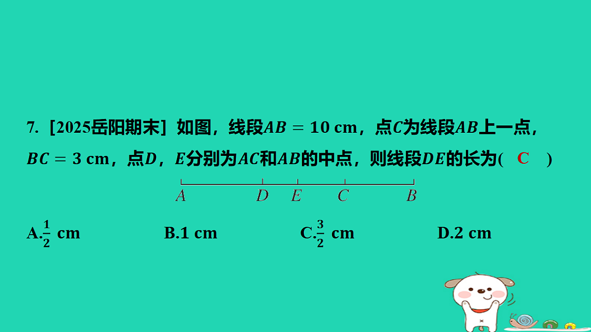 17567359第8页