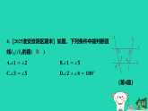 2025秋七年级数学上学期期末冲刺许1课件新版苏科版