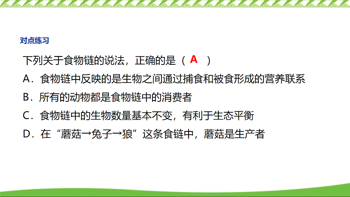 17569729第8页