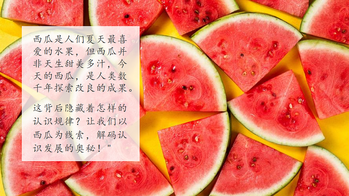 17570980第3页