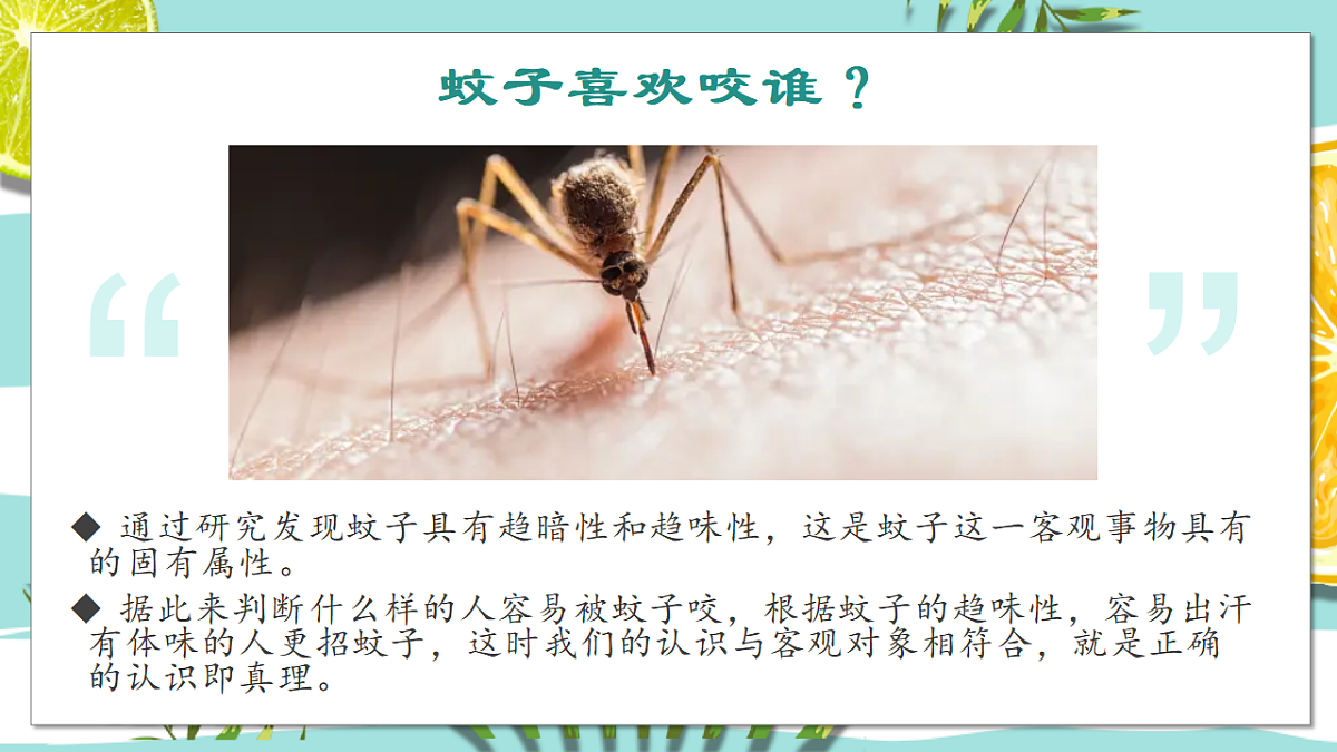 17570981第7页
