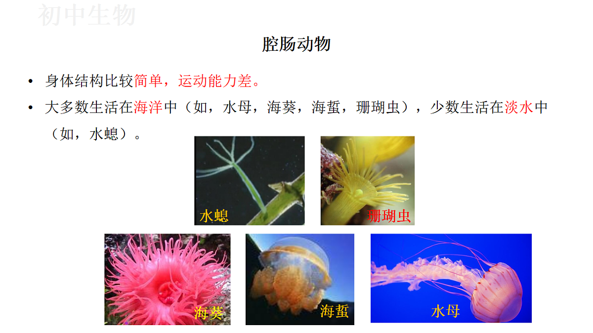 17571258第4页