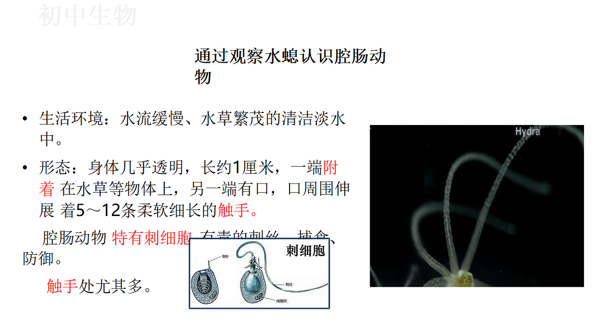 17571258第5页