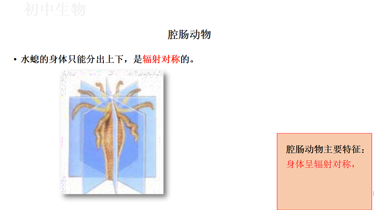 17571258第6页
