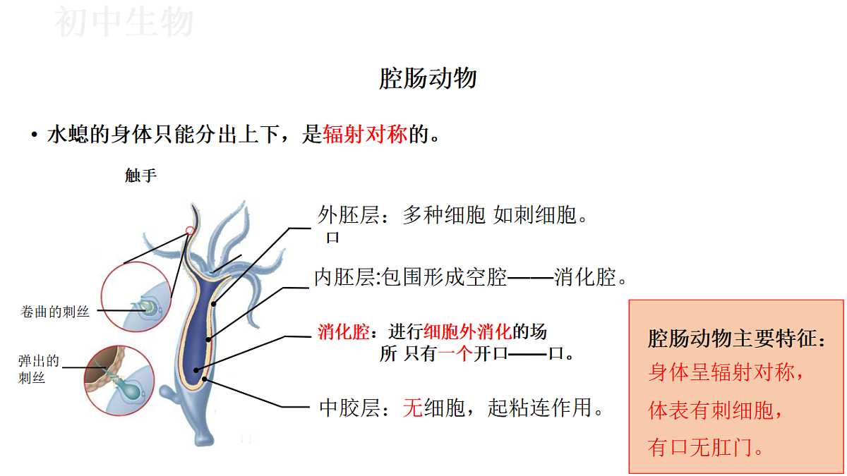 17571258第7页
