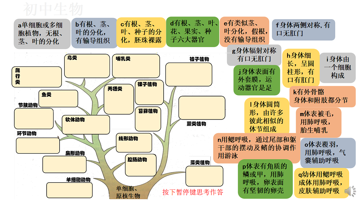 17571259第3页