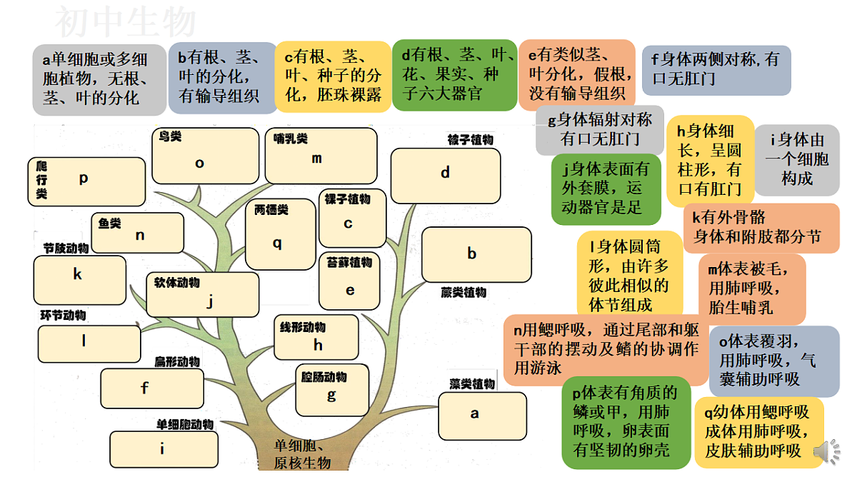 17571259第4页