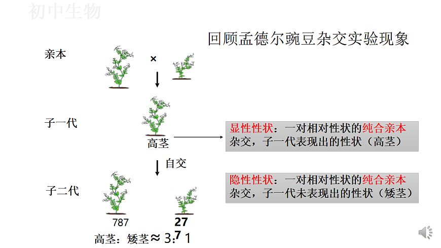 17571260第3页