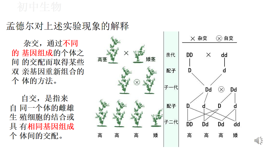 17571260第4页