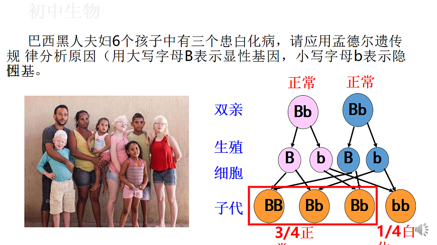 17571260第5页
