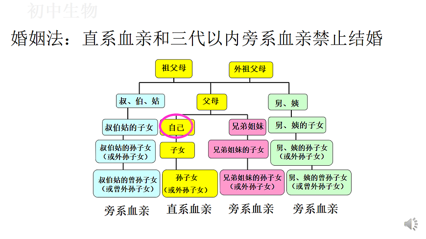 17571260第7页