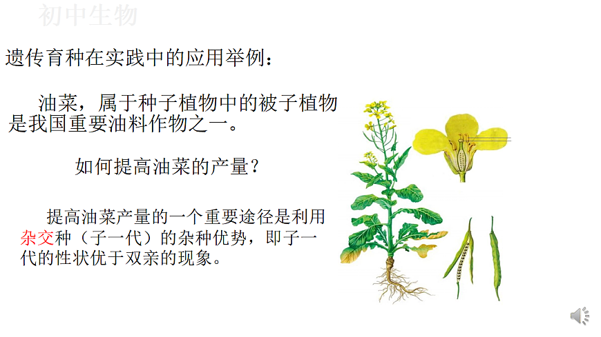 17571260第8页