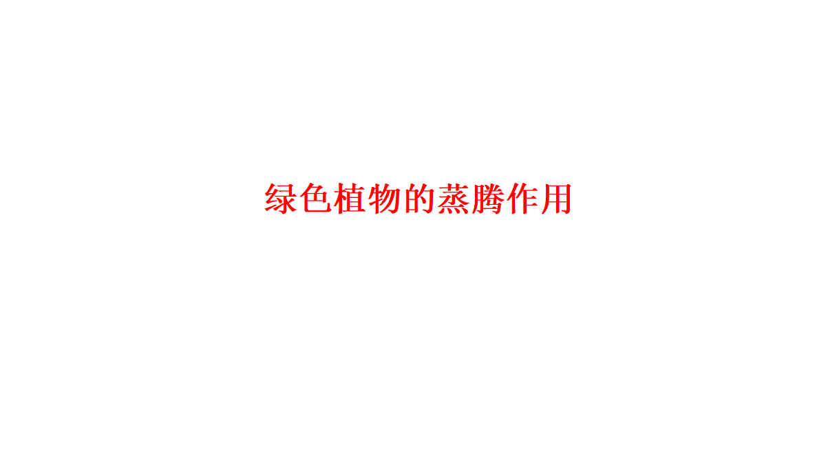 17571262第1页