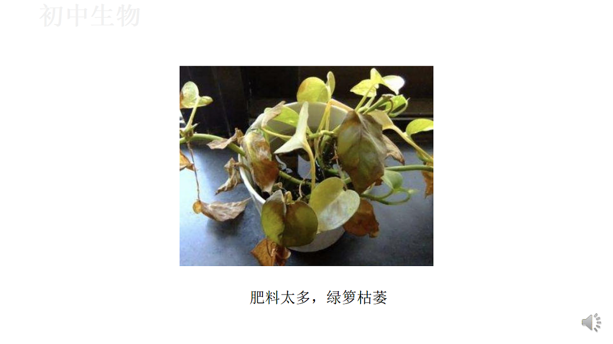 17571262第5页