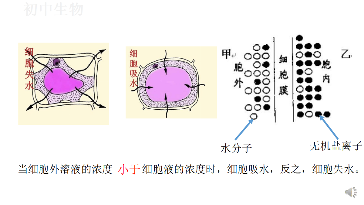17571262第6页