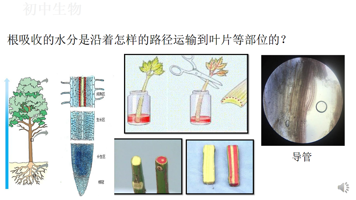 17571262第7页