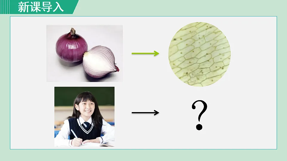 17571278第2页