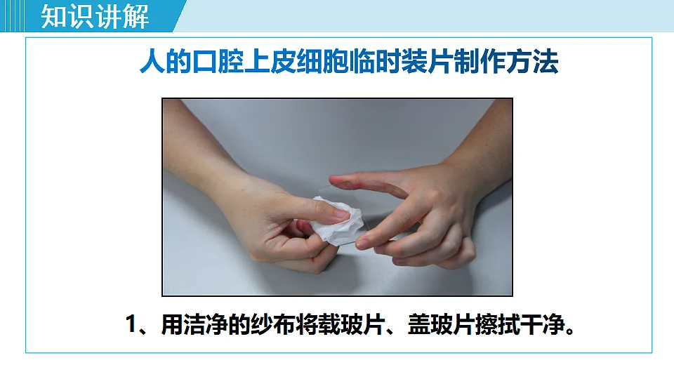 17571278第5页