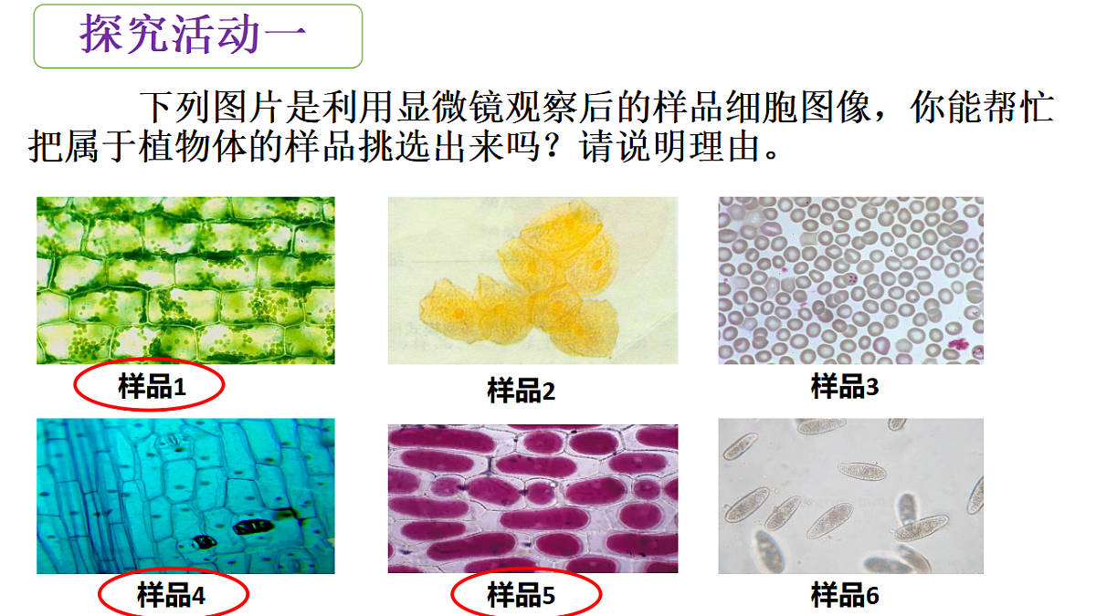 17571279第4页
