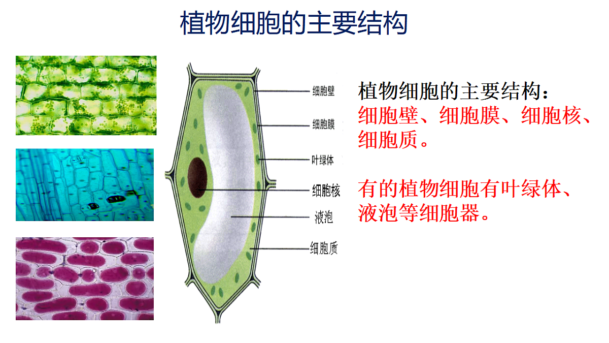 17571279第5页