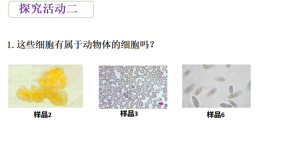 17571279第6页