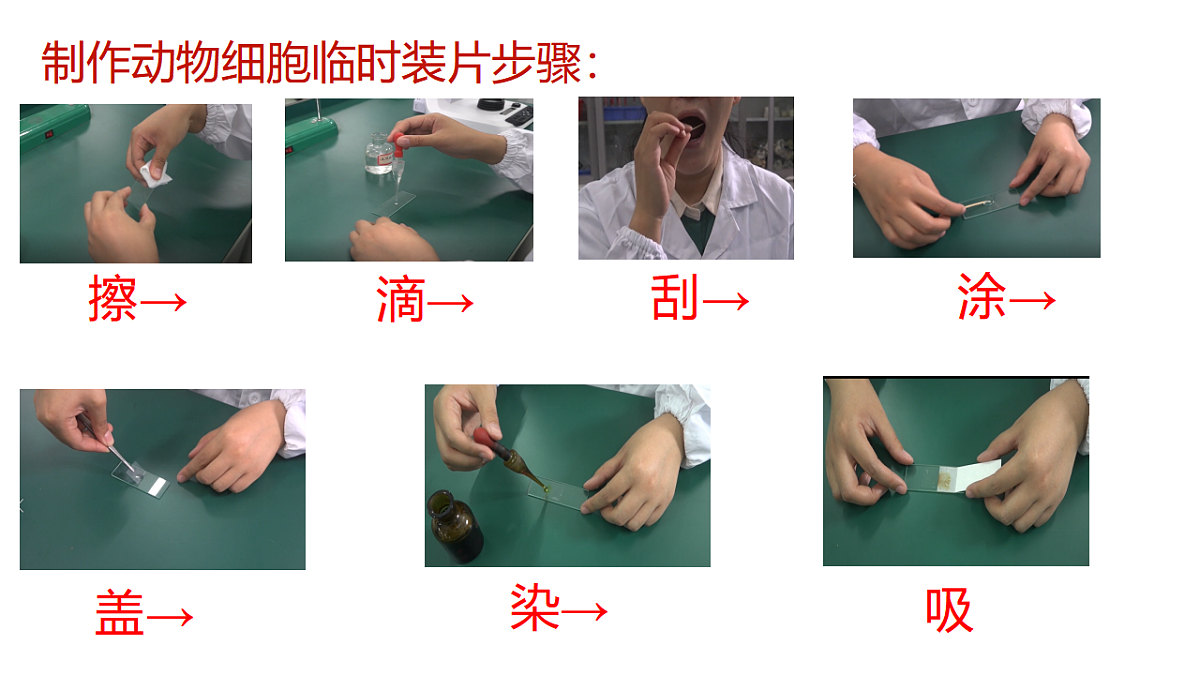 17571279第8页