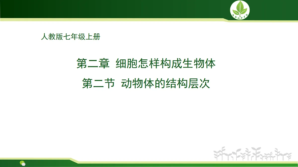 17571281第1页