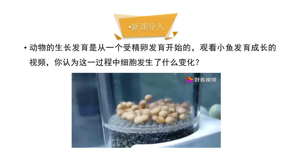 17571281第3页