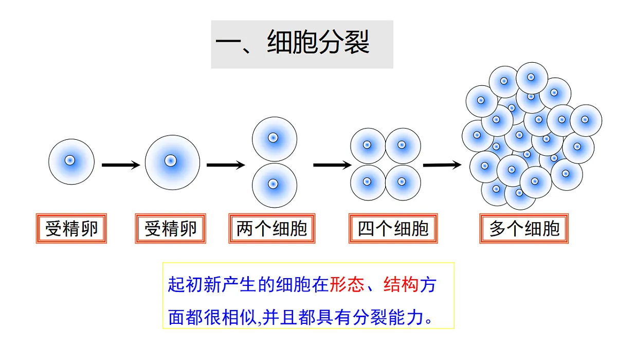 17571281第4页